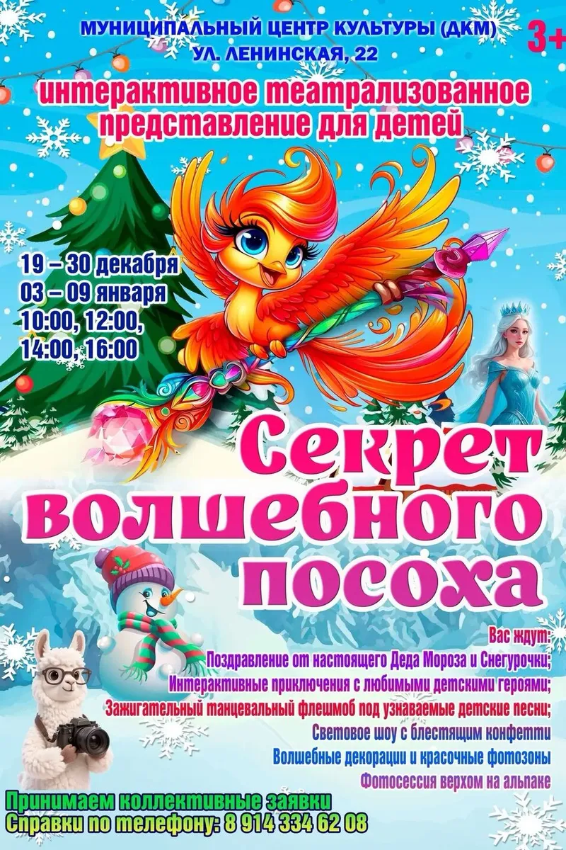 Новогоднее представление "Секрет волшебного посоха" с 19 по 30 декабря 2026, 3-9 января 2027